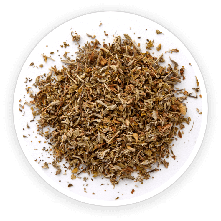 Quietum Plus Ingredient