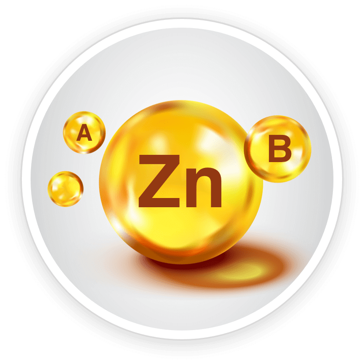 Quietum Plus Ingredient